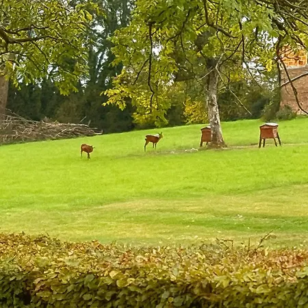 De 95m2 Au Coeur Du Pays D'auge, En Normandie Avec Piscine Et Jacuzzi * Les Champeaux