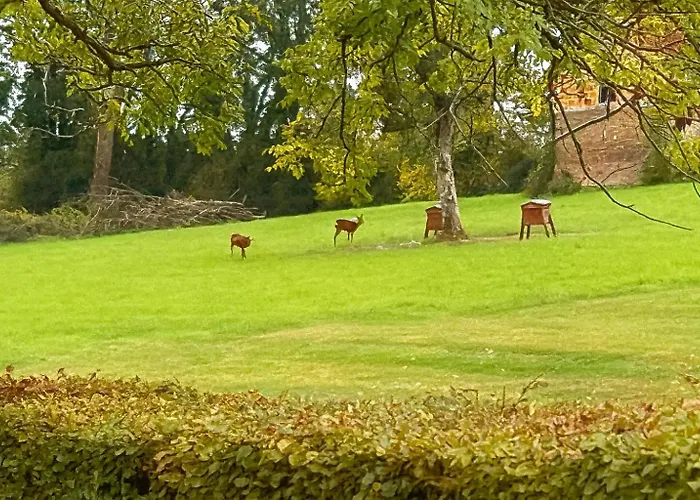 De 95m2 Au Coeur Du Pays D'auge, En Normandie Avec Piscine Et Jacuzzi * Les Champeaux